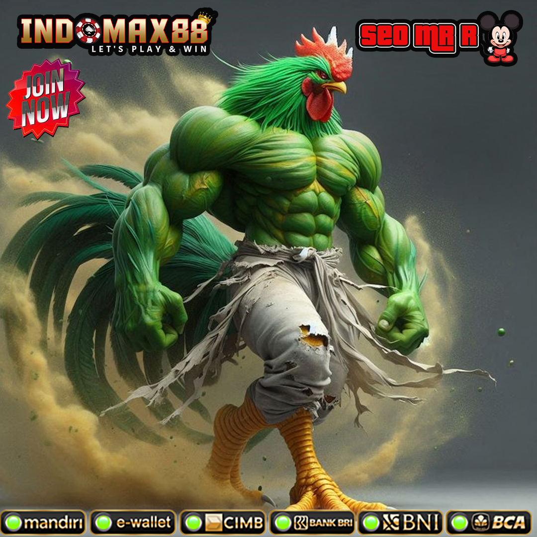 Agen Sabung Ayam Online Situs INDOMAX88 Real Arena Cockfight Link Sv388