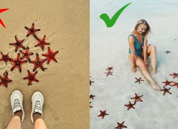 khach-san-que-toi-soc-trang-B&atilde;i Sao kh&ocirc;ng chỉ nổi tiếng bởi l&agrave;n nước xanh ngọc m&agrave; c&ograve;n nhờ sự xuất hiện của những ch&uacute; sao biển rực rỡ sắc m&agrave;u. Ch&iacute;nh vẻ đẹp độc đ&aacute;o ấy đ&atilde; thu h&uacute;t rất nhiều du kh&aacute;ch, đặc biệt l&agrave; giới trẻ, đến đ&acirc;y để lưu giữ những khoảnh khắc &ldquo;triệu like&rdquo;. Tuy nhi&ecirc;n, việc cầm sao biển l&ecirc;n tay hay đưa ch&uacute;ng l&ecirc;n bờ để chụp ảnh v&ocirc; t&igrave;nh lại g&acirc;y tổn thương nghi&ecirc;m trọng cho lo&agrave;i sinh vật nhạy cảm n&agrave;y. Hệ thần kinh của sao biển ph&acirc;n bố khắp c&aacute;c c&aacute;nh tay, khiến ch&uacute;ng cực kỳ dễ bị tổn thương khi bị đưa khỏi m&ocirc;i trường nước.  mot-so-luu-y-khi-di-chup-hinh-cung-sao-bien Một số lưu &yacute; khi đi chụp h&igrave;nh c&ugrave;ng sao biển Thay v&igrave; tương t&aacute;c trực tiếp, bạn ho&agrave;n to&agrave;n c&oacute; thể chọn những c&aacute;ch chụp ảnh văn minh, vẫn đẹp lung linh m&agrave; lại g&oacute;p phần bảo vệ sự sống mong manh của sao biển. Dưới đ&acirc;y l&agrave; một v&agrave;i gợi &yacute; s&aacute;ng tạo:  Chụp b&agrave;n ch&acirc;n c&ugrave;ng sao biển H&atilde;y ngồi thư gi&atilde;n tr&ecirc;n b&atilde;i c&aacute;t, nhẹ nh&agrave;ng thả ch&acirc;n xuống l&agrave;n nước trong vắt, nơi những ch&uacute; sao biển nằm y&ecirc;n tĩnh dưới đ&aacute;y. Một bức ảnh tự nhi&ecirc;n với &aacute;nh s&aacute;ng rực rỡ sẽ mang lại cảm gi&aacute;c thơ mộng v&agrave; gần gũi với thi&ecirc;n nhi&ecirc;n.  bai-sao-phu-quoc-nu-cuoi-me-kong-chup-ban-chan-cung-sao-bien Chụp b&agrave;n ch&acirc;n c&ugrave;ng sao biển Chụp ng&acirc;m m&igrave;nh dưới l&agrave;n nước c&ugrave;ng sao biển Việc bạn h&ograve;a m&igrave;nh v&agrave;o l&agrave;n nước m&aacute;t lạnh, để sao biển ở xung quanh cũng l&agrave; một c&aacute;ch tuyệt vời để ghi lại khoảnh khắc độc đ&aacute;o. Đ&acirc;y l&agrave; h&agrave;nh động thể hiện sự t&ocirc;n trọng với thi&ecirc;n nhi&ecirc;n &ndash; một phong c&aacute;ch du lịch hiện đại, văn minh v&agrave; đầy &yacute; thức.  chup-ngam-minh-duoi-lan-nuoc-cung-sao-bien Chụp ng&acirc;m m&igrave;nh dưới l&agrave;n nước c&ugrave;ng sao biển Chụp ri&ecirc;ng sao biển Nếu bạn y&ecirc;u th&iacute;ch nghệ thuật nhiếp ảnh, h&atilde;y tận dụng &aacute;nh s&aacute;ng tự nhi&ecirc;n v&agrave; l&agrave;n nước trong vắt để chụp cận cảnh sao biển ngay dưới mặt nước. Những bức ảnh như thế kh&ocirc;ng chỉ đẹp một c&aacute;ch tự nhi&ecirc;n m&agrave; c&ograve;n mang đậm dấu ấn bảo tồn sinh th&aacute;i.  bai-sao-phu-quoc-nu-cuoi-me-kong-chup-rieng-sao-bien Chụp ri&ecirc;ng sao biển